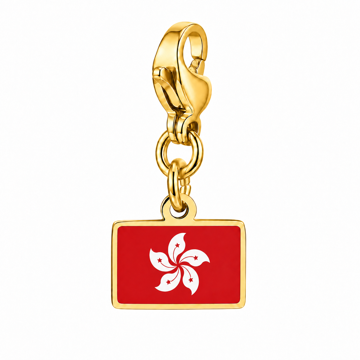 Hongkong vlagbedel, voorkant