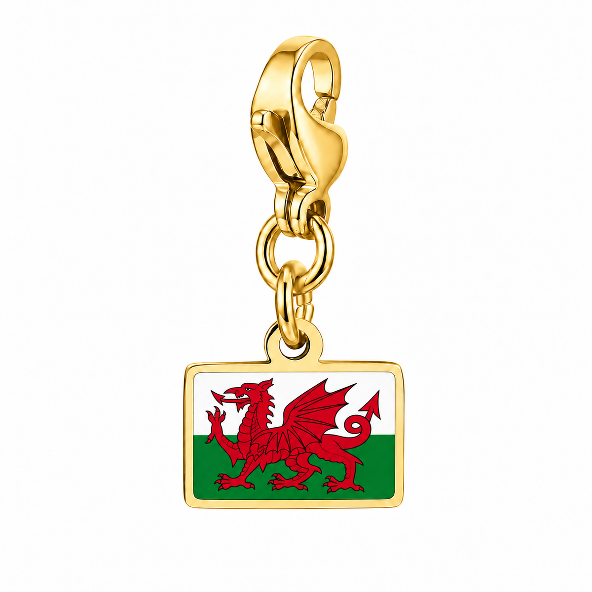 Wales vlagbedel, voorkant