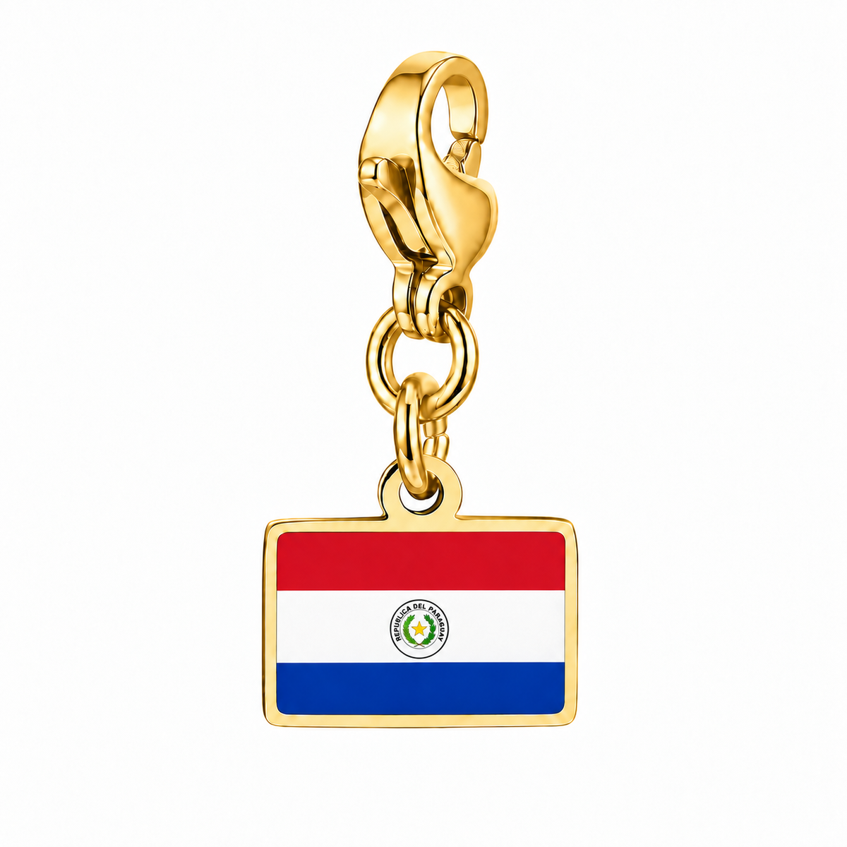 Paraguay vlagbedel, voorkant