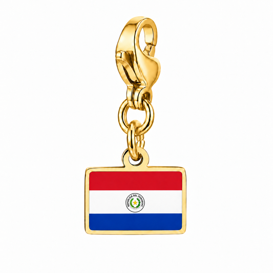 Paraguay vlagbedel, voorkant