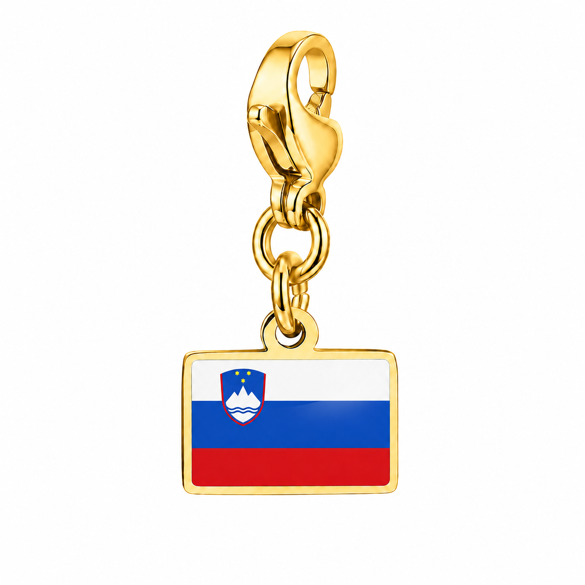 Slovenië vlagbedel, voorkant