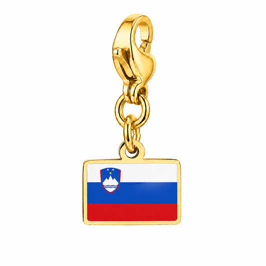 Slovenië vlagbedel, voorkant